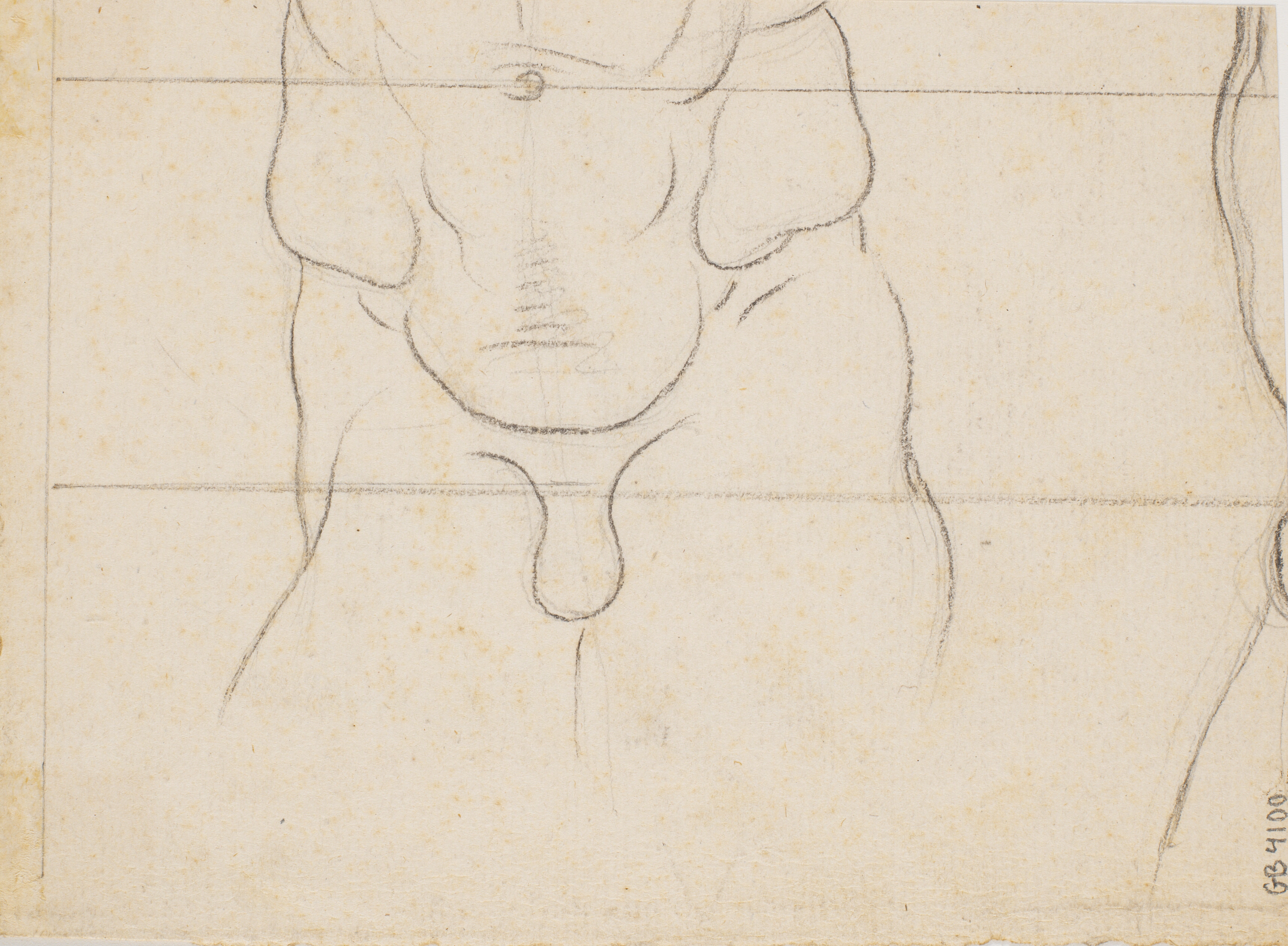 Skitse af hofteparti